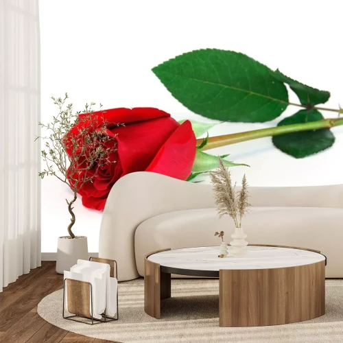 Sticker Bild einer roten Rose