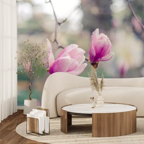 Sticker Magnolien auf unscharfem Hintergrund