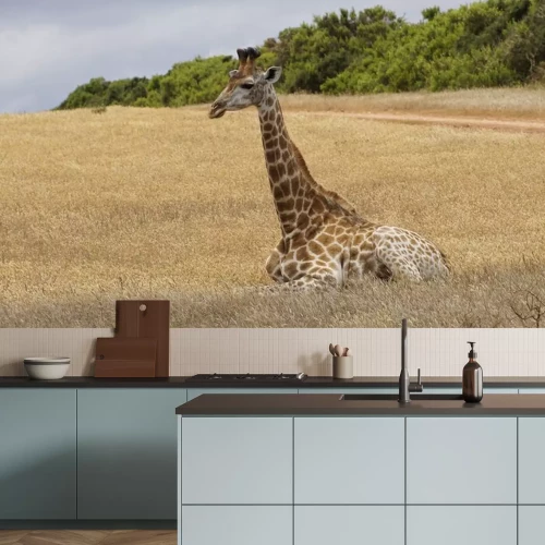 Sticker Auf dem Gras sitzende Giraffe