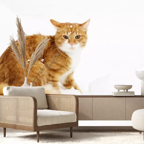 Sticker Katzen flauschige rote Katze mit Schnee auf dem Kopf