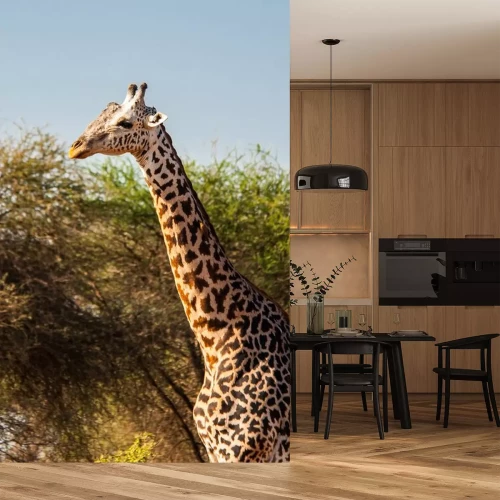 Sticker Giraffe vor dem Hintergrund eines Baumes