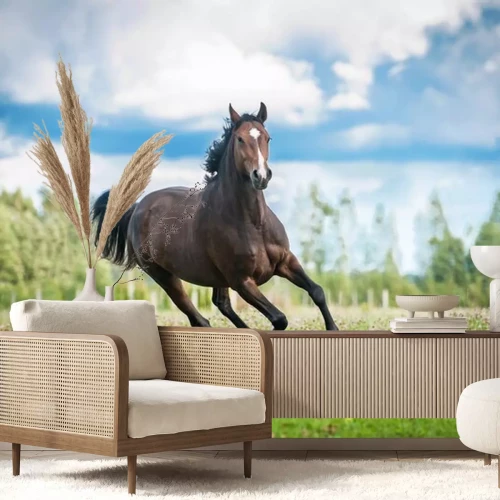 Sticker Pferde braunes Reitpferd läuft auf einer Lichtung