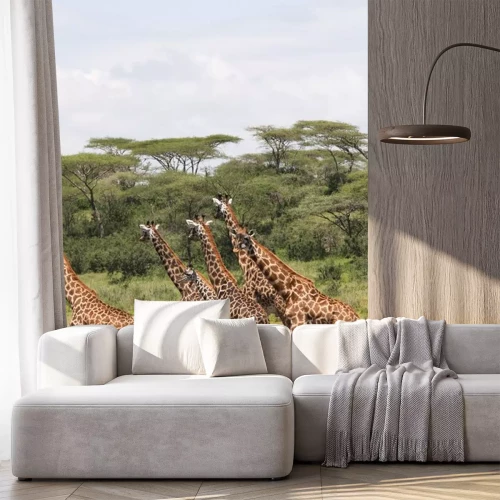 Sticker Giraffenherde läuft durch eine Savanne