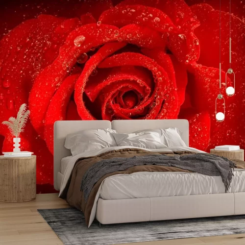 Sticker Rote Rose mit Tau