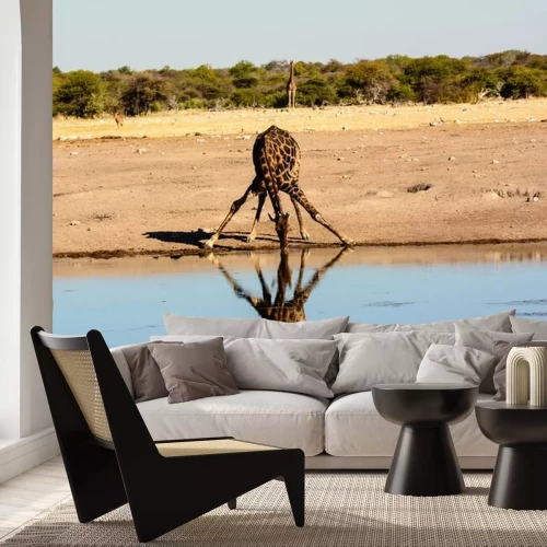 Sticker Giraffe trinkt aus einer Wasserstelle