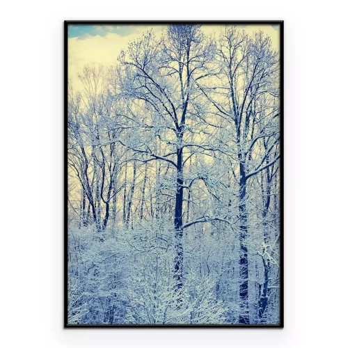 Poster Bäume, die mit leichtem Frost bedeckt sind