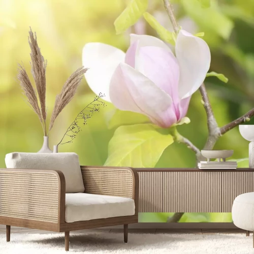 Sticker Eine leuchtende Magnolie in Strahlen