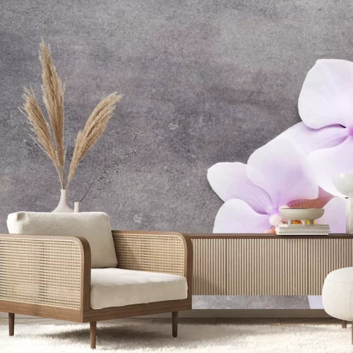 Sticker Weiße Orchidee auf dem Beton liegend