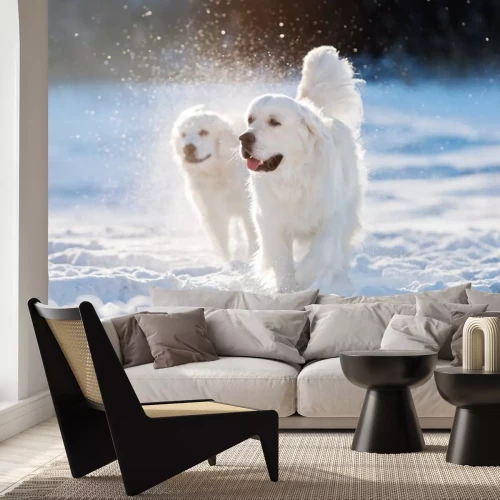 Sticker Hunde im Schnee zwei weiße Goldens