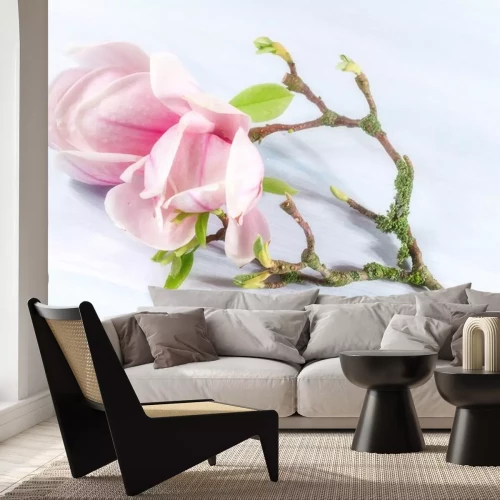 Sticker Magnolien auf einem abgebrochenen Ast