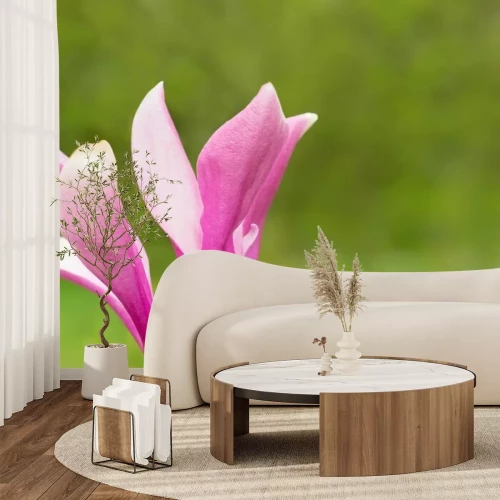 Sticker Magnolie auf grünem Hintergrund