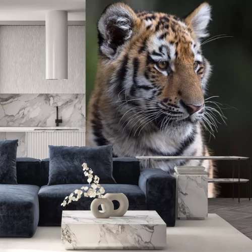 Sticker Sibirischer Tiger mit weißen Flecken um die Augen