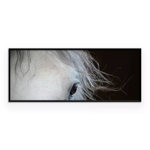 Poster Nahaufnahme eines Pferdeauges