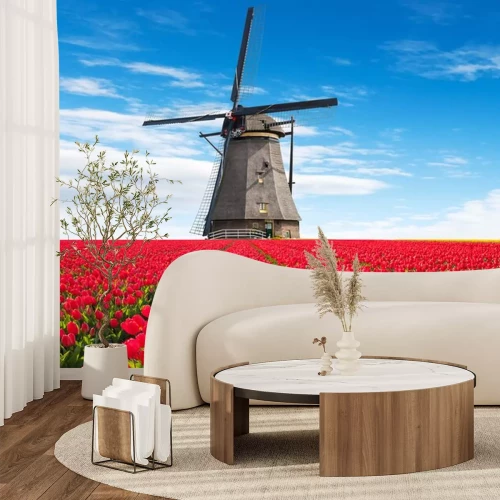 Fototapete Tulpenfeld und Windmühle