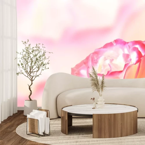 Sticker Rose mit weiß-rosa Blütenblättern