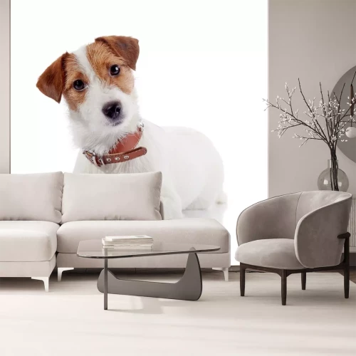 Sticker Hunde Terrier mit neugierig geneigtem Kopf