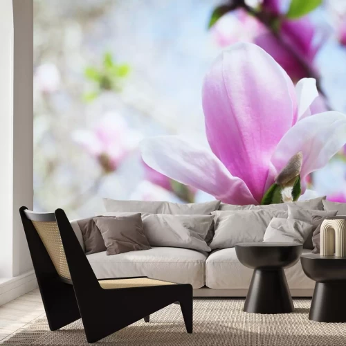 Sticker Magnolie auf einem Hintergrund aus Zweigen