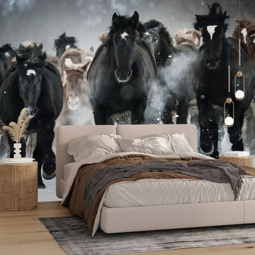 Sticker Pferde im schnellen Galopp an einem Wintertag