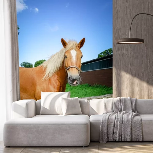 Sticker Pferde honigfarbenes Reitpferd auf der Koppel