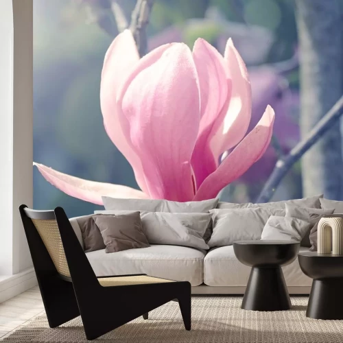 Sticker Magnolienknospe in der Sonne