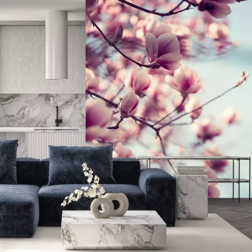 Fototapete Schöne rosa Magnolien blüht