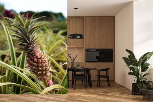 Visualisierung des Produkts