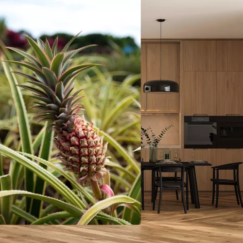 Sticker Exotische Ananasse in der Natur wachsend