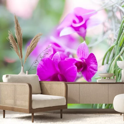 Sticker Rosa Orchidee auf unscharfem Hintergrund