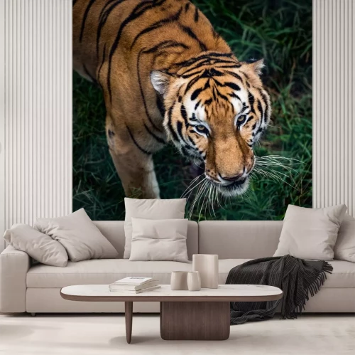 Sticker Bengal-Tiger in Bewegung und grünes Gras