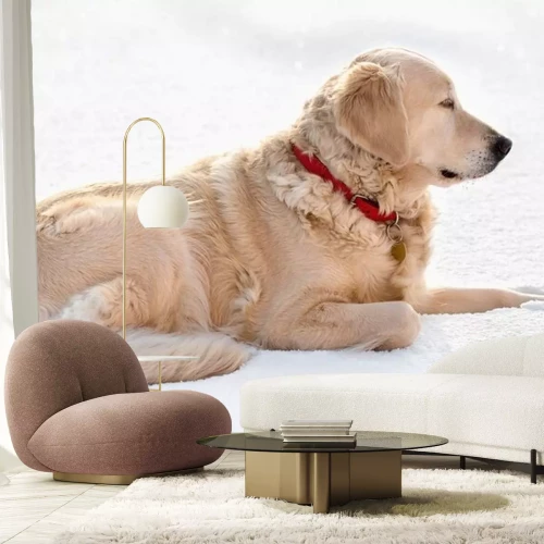 Sticker Hund Familienmitglied Golden mit rotem Halsband und goldenem Anhänger