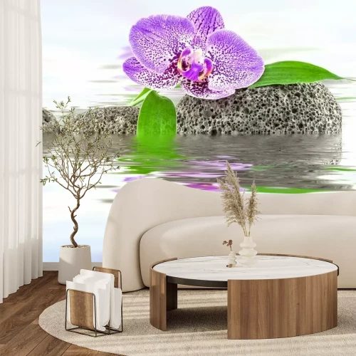 Sticker Orchidee zwischen den Steinen auf dem Wasser