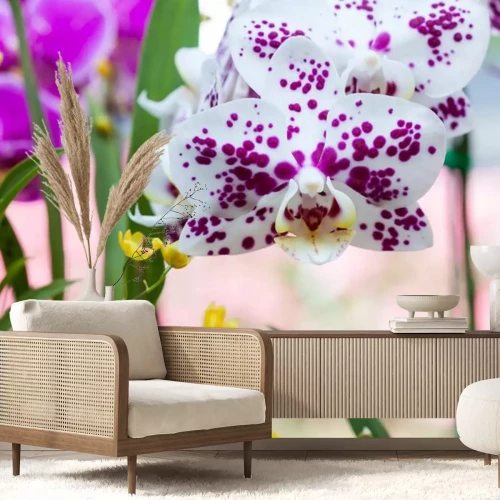 Sticker Weiße Orchidee mit violetten Tupfen