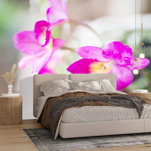 Sticker Orchidee auf einem unscharfen Foto