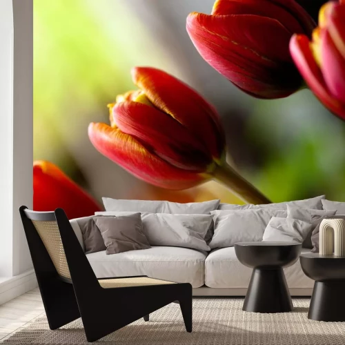 Sticker Nahaufnahme von Tulpen