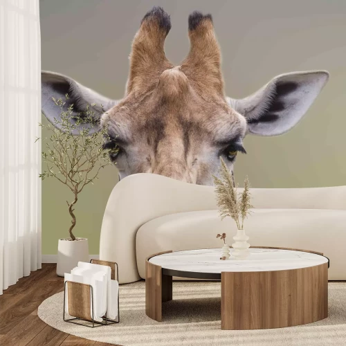 Sticker Porträt einer Giraffe in Nahaufnahme