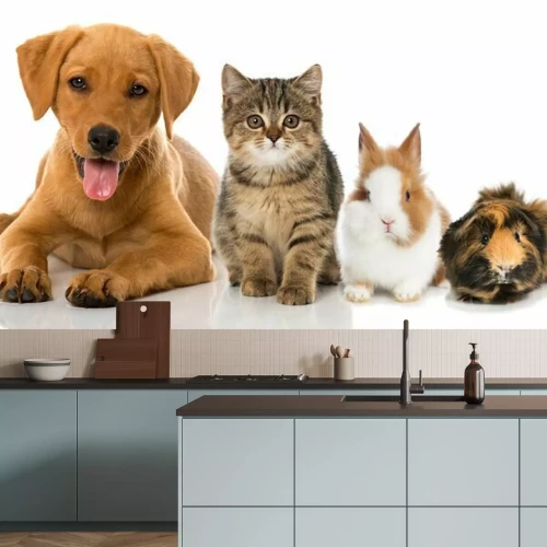 Sticker Hund und Katze und andere Haustiere in einer Reihe