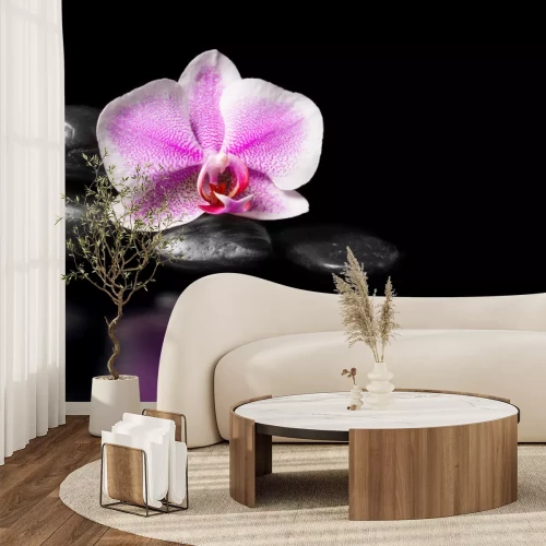 Sticker Orchidee und Steine auf schwarzem Hintergrund