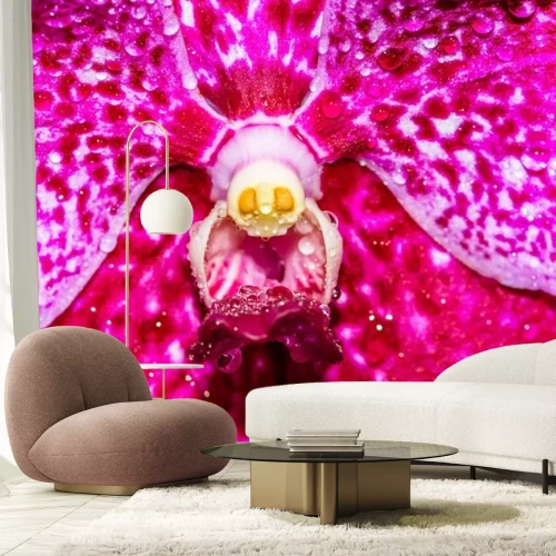 Sticker Die Mitte einer rosa Orchidee