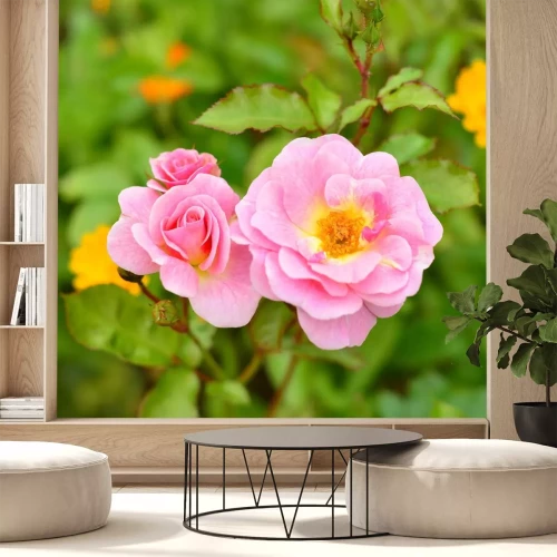 Sticker Rosa Rosen im Garten