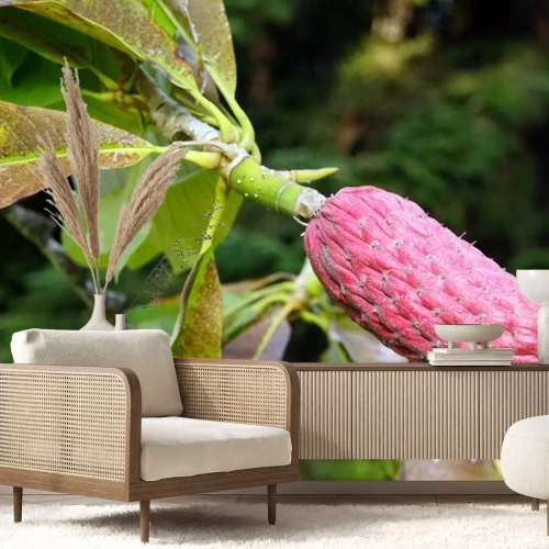 Sticker Früchte der chinesischen Magnolie