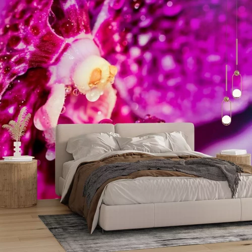 Sticker Die Mitte einer mit Tau bedeckten Orchidee