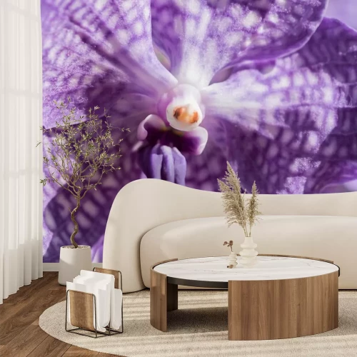 Sticker Gefleckte Orchidee vergrößert