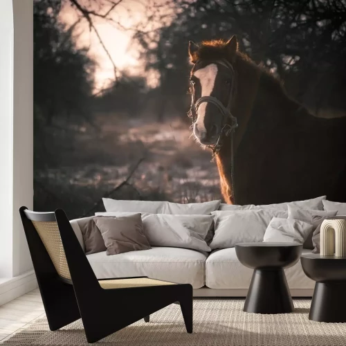 Sticker Pferdekopf Reitpferd im Wald vor herbstlicher Kulisse