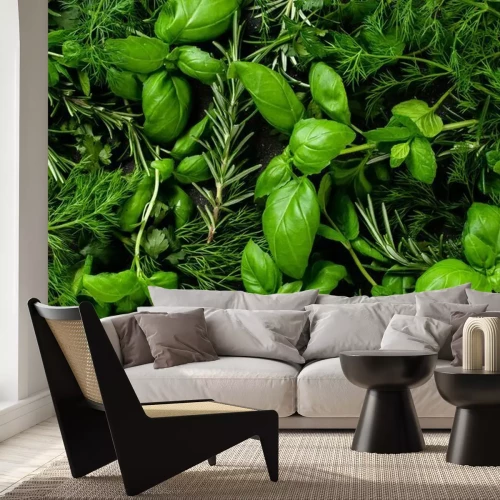 Fototapete Frische Kräuter 