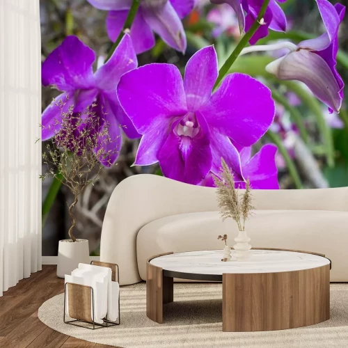 Sticker Orchidee in violettem Farbton