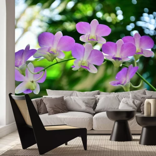 Sticker Pastellfarbener Orchideenzweig