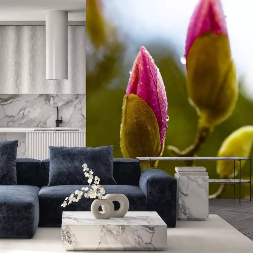 Sticker Zwei Knospen einer rosa Magnolie