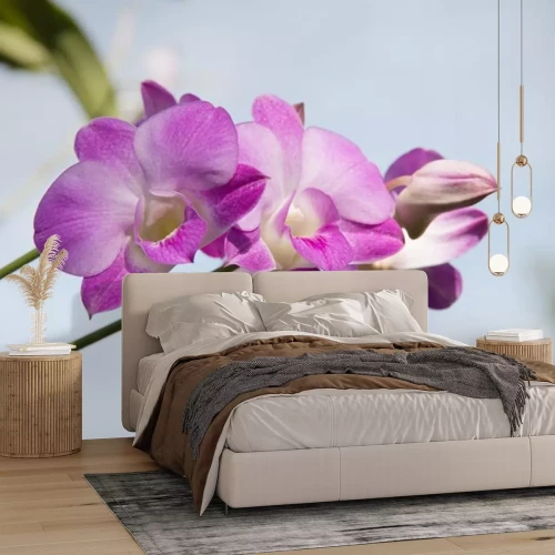 Sticker Orchidee auf einem himmlischen Hintergrund
