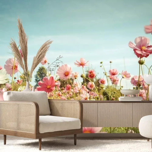 Fototapete Cosmos Blume blühen im Garten