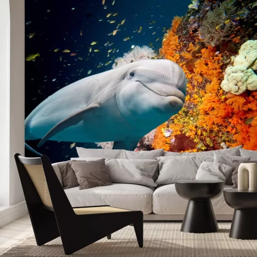 Sticker Delfin auf einem Korallenriff Hintergrund